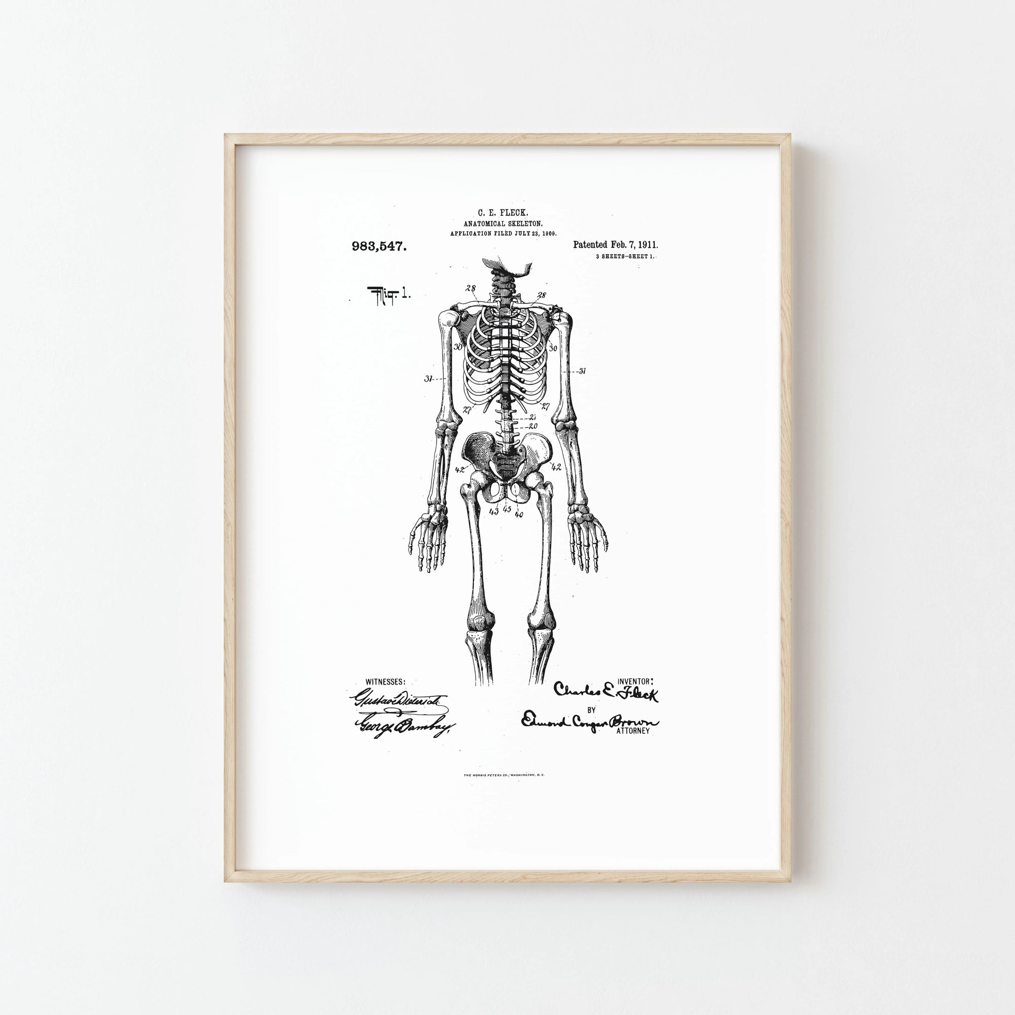 Affiche Squelette Anatomique Nostalgique